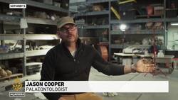 Stegosaurus skeleton nicknamed Apex sells for record $44.6m Instructional Video