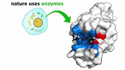 Synthetic Biology and Materials Science Part 1: Biological Manufacturing Instructional Video