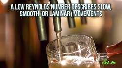 How Sea Butterflies "Fly" in Water Instructional Video