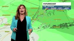 Scattered showers and cloudy skies in Brooklyn News Clip