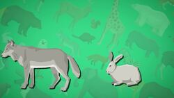 I WONDER - What Is Animal Adaption? Me Pregunto - Qué Es La Adaptación Animal? Instructional Video