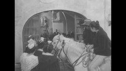 Summer dress fashion show News Clip