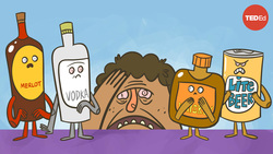 TED-Ed: How does alcohol cause hangovers? | Judy Grisel Instructional Video