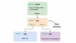 Complete Git Guide: Understand and Master Git and GitHub - Project's Current State Overview "Basic Git Operations" Instructional Video
