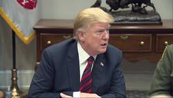 Trump says he feels 'very badly' for Paul Manafort Instructional Video