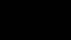 CLEAN : French Agriculture Minister says improving animal well-being is a government priority News Clip