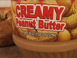 Measuring in Science: Summing Up Instructional Video