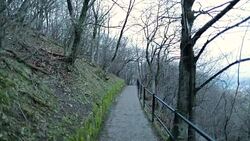 Nature path during winter cold season Stock Footage