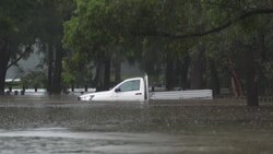 CLEAN : More rain, more flooding in Australia with roads submerged in Sydney News Clip