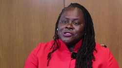 Angela Onwuachi-Willig - Critical Race Theory Instructional Video