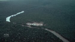 UN warns of more pandemics if humans continue to exploit natural world News Clip