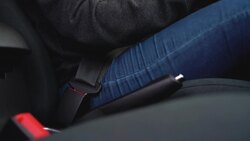 Let's Learn About Communities: Community Rules and Laws Instructional Video