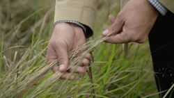 Creating a Sustainable Home with Native Plants in Austin Instructional Video