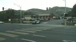 CLEAN : Flowers media close to scene of crash that killed basketball legend Kobe Bryant News Clip