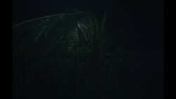 Deadly hurricane Dorian barely budges over Bahamas Instructional Video