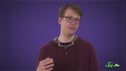 The Bizarre World of Animal Flight | Compilation Instructional Video