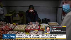 Australia Urges Scrutiny of Wildlife Wet Markets News Clip