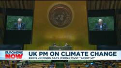 'Grow up': UK's Johnson says world must face climate change News Clip