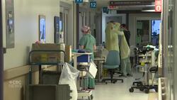 Manitoba adds record net number of net new doctors: college News Clip