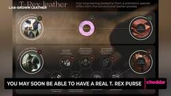 You May Soon Be Able to Have a Real T. Rex Purse News Clip