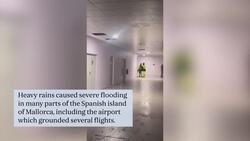 Majorca: Flights grounded after heavy rains cause flooding at tourist hotspot airport News Clip
