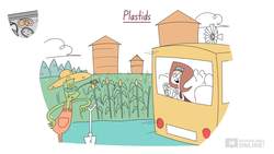 Biology Cells as the Basis of Life: Cell Structure - Plant Cells Part 3 Instructional Video