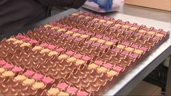 Chocolate and Fudge Making factory News Clip