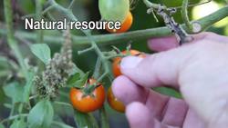 Exploring Natural Resources Introduction Instructional Video