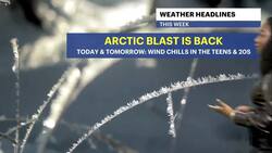 BITTER BLAST: Brisk and blustery today with wind chills for The Bronx News Clip