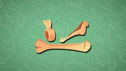 I WONDER - What Do We Know About the Megalosaurus Skeleton? Instructional Video