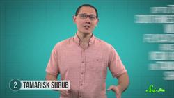 6 Surprisingly Helpful Invasive Species Instructional Video