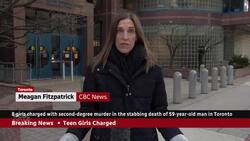 Toronto police investigating whether teen girl murder suspects met on social media News Clip