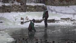 Chicago zoo-keepers prepare for dangerous cold Instructional Video
