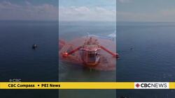 Fire on N.S.-P.E.I. ferry in 2022 a ‘canary in the coal mine,’ says TSB News Clip