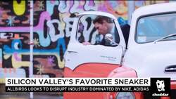 San Francisco Shoe Start-up Bets Simple Is the New Sexy News Clip