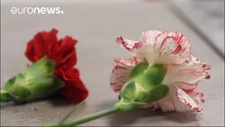 Portugal's Carnation Revolution through the eyes of a coup leader News Clip