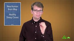 A New Map of the Human Brain! Instructional Video