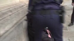 CLEAN : Extinction Rebellion activists protest at French parliament News Clip