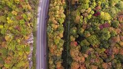 Aerial View Empty road leading trough beautiful colorful autumn forest in sunny fall Stock Footage
