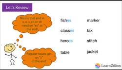 Adding 'es' to Plural Nouns Instructional Video