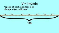 Symmetry Puzzles Instructional Video