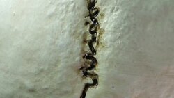 Human Skull Analysis Stock Footage