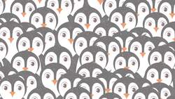 High Five Facts - Penguins
 Choca Esos Cinco - Pingüinos Instructional Video