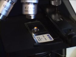 The Microscope: Parts of the Compound Microscope Instructional Video