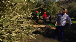 Making Olive Oil in Spain Instructional Video