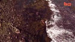 Drone Captures Bird's Eye View Of Cape Town Instructional Video