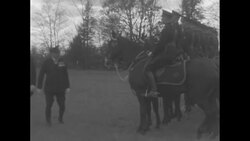 Toronto Police Service's mounted unit shows off expert horsemanship News Clip