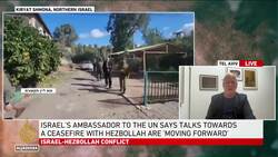 Israelis sceptical of ceasefire with Hezbollah: Former Israeli diplomat News Clip