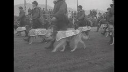 Review of US troops of 45th Infantry Division at Camp George leaving South Korea News Clip