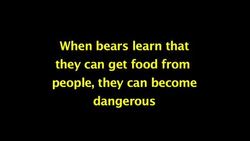 Bears and Food Storage Instructional Video